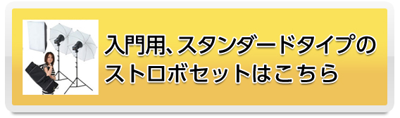 入門用、スタンダードタイプのストロボセットはこちら