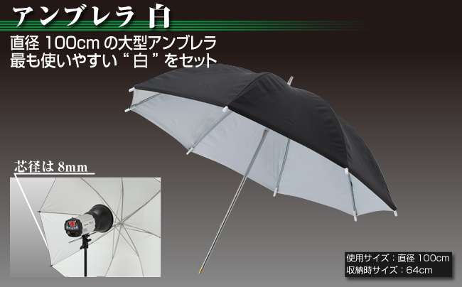 600Wデジタルストロボ2灯フルセット | 撮影機材、LED撮影照明の専門店