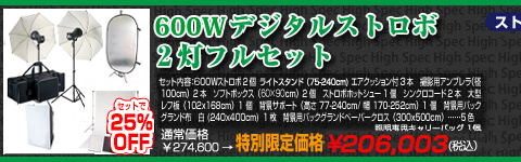 600Wデジタルストロボ2灯フルセット | 撮影機材、LED撮影照明の専門店