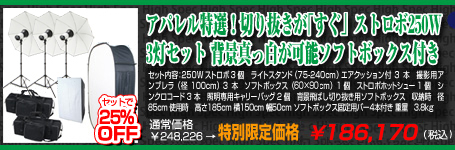 ストロボ一眼レフデジカメで効率的に大量の商品を撮影したい方