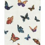 FlutterBy by Julien MacDonald(31-175)53cm x 10m