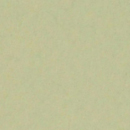 #13c　トロピカルグリーン　1.35×5.5m