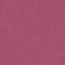 #62d　プラム　2.72×11m
