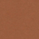 #67d　ナツメグ　2.72×11m