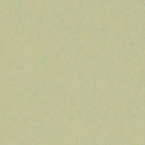 背景紙1.35×5.5m[p13c]トロピカルグリーン