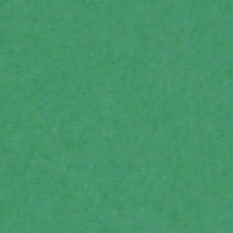 背景紙2.72×11m[p31d]ミントグリーン