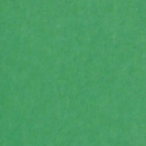 背景紙2.72×11m[p54d]スティンガー